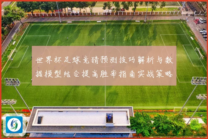 世界杯足球竞猜预测技巧解析与数据模型结合提高胜率指南实战策略