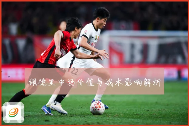 佩德里中场价值与战术影响解析