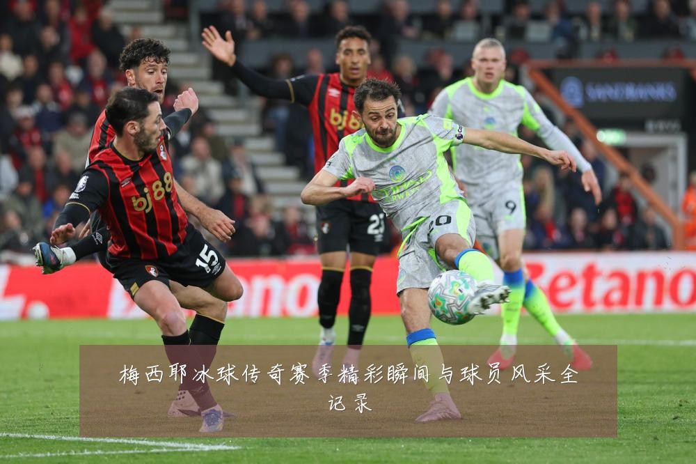 梅西耶冰球传奇赛季精彩瞬间与球员风采全记录